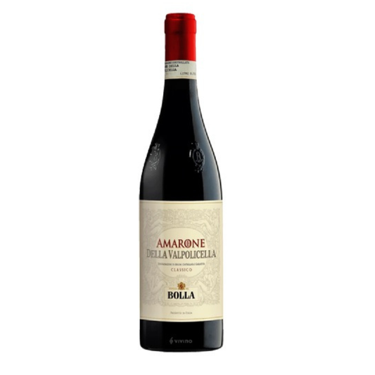 Amarone della Valpolicella Classico Bolla 1995